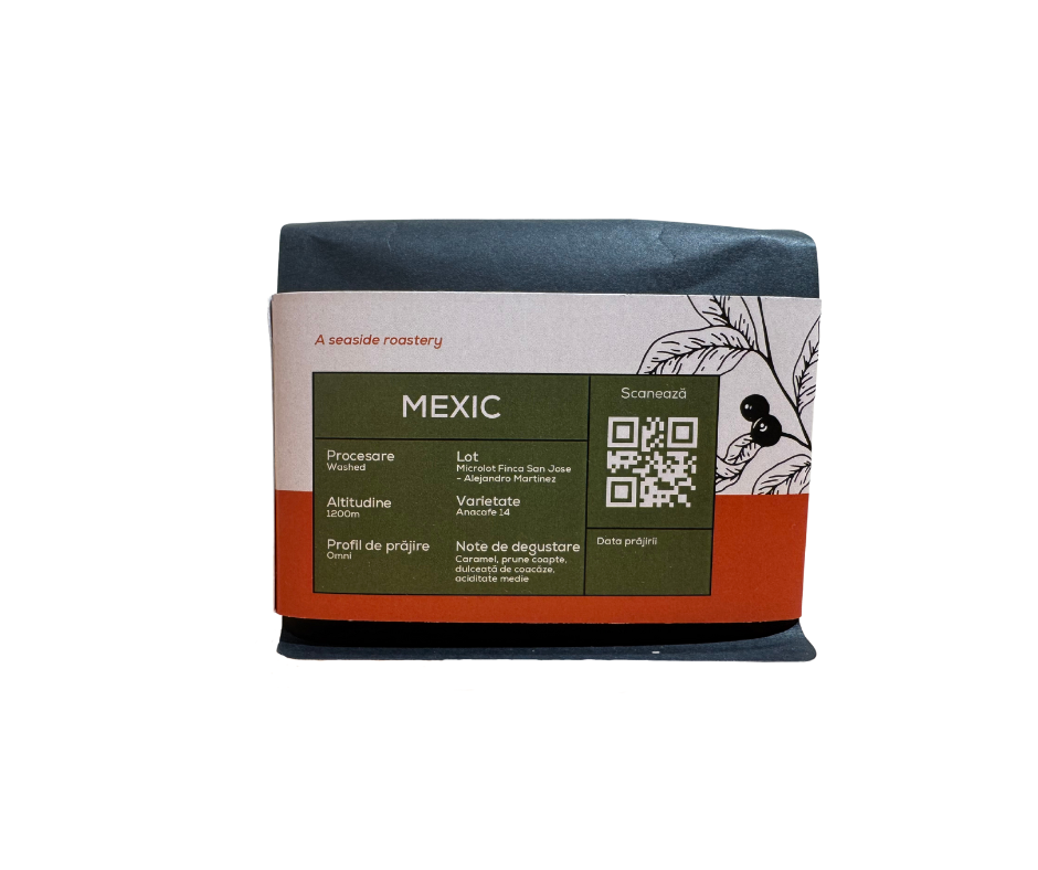 Mexic - Alejandro Martinez